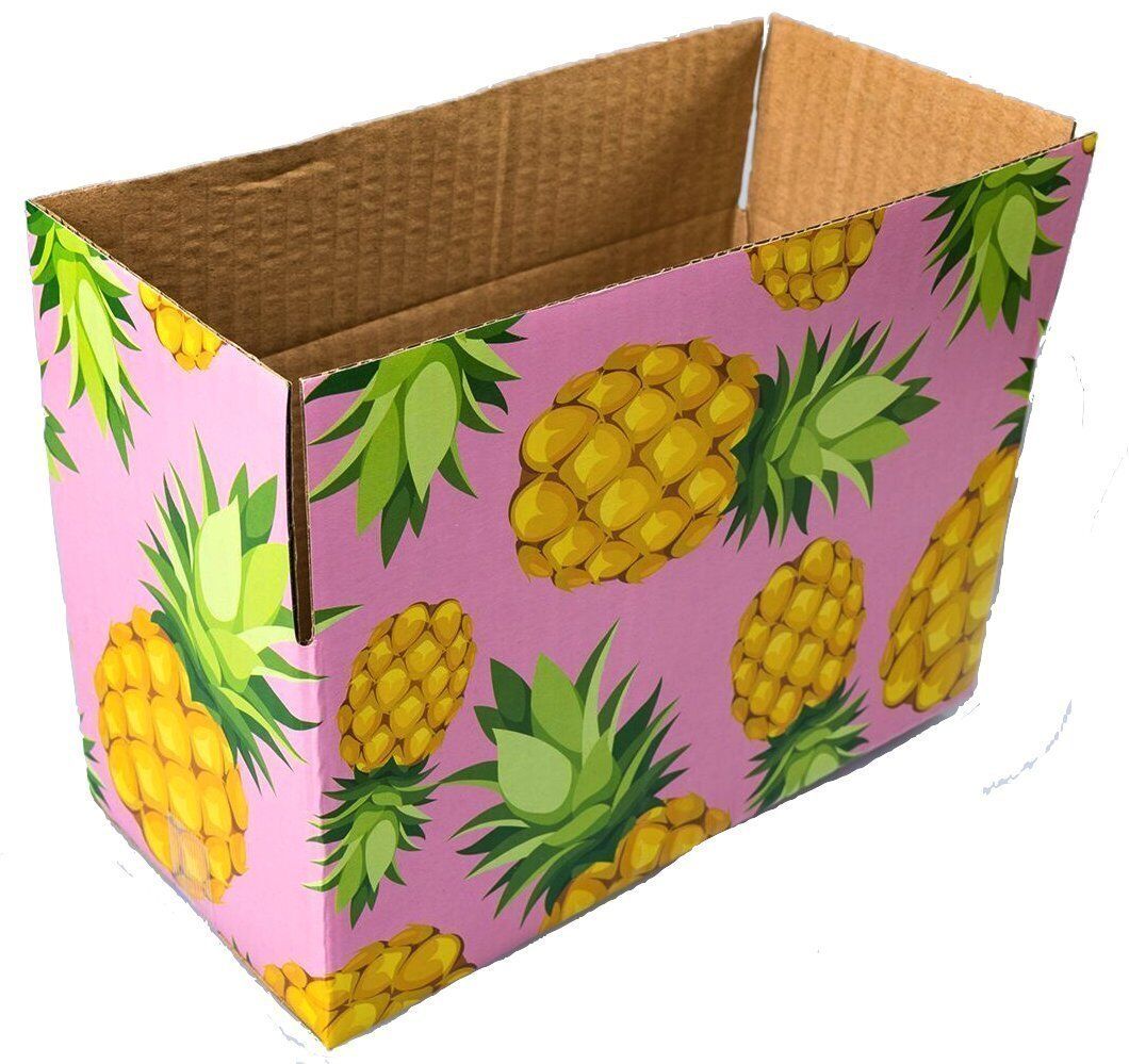 25 Designer Boxes corrugated custom printed Cardboard Box